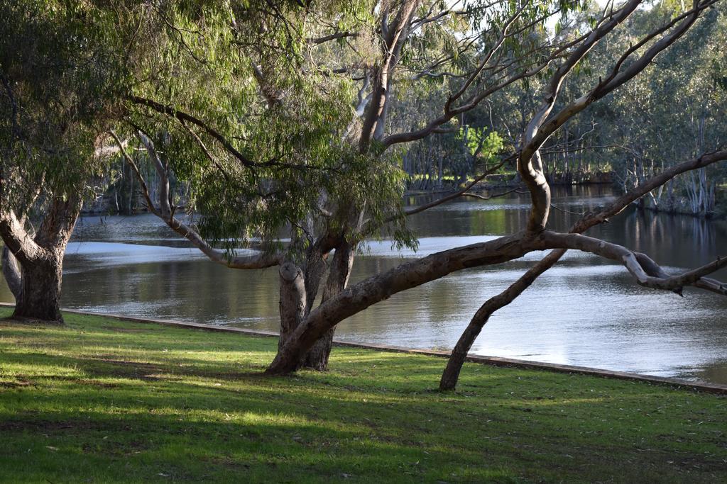 מרגרט ריבר Bushy Lake Chalets מראה חיצוני תמונה