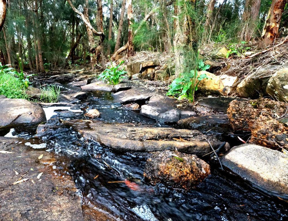 מרגרט ריבר Bushy Lake Chalets מראה חיצוני תמונה