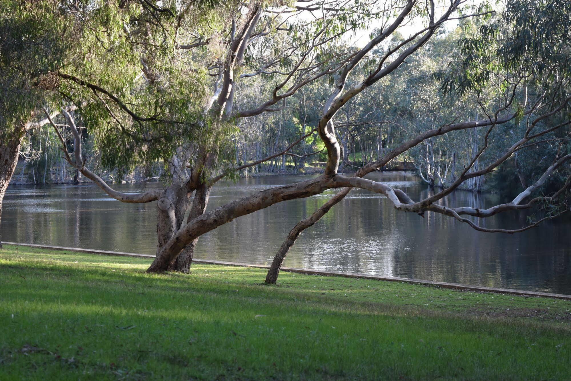מרגרט ריבר Bushy Lake Chalets מראה חיצוני תמונה