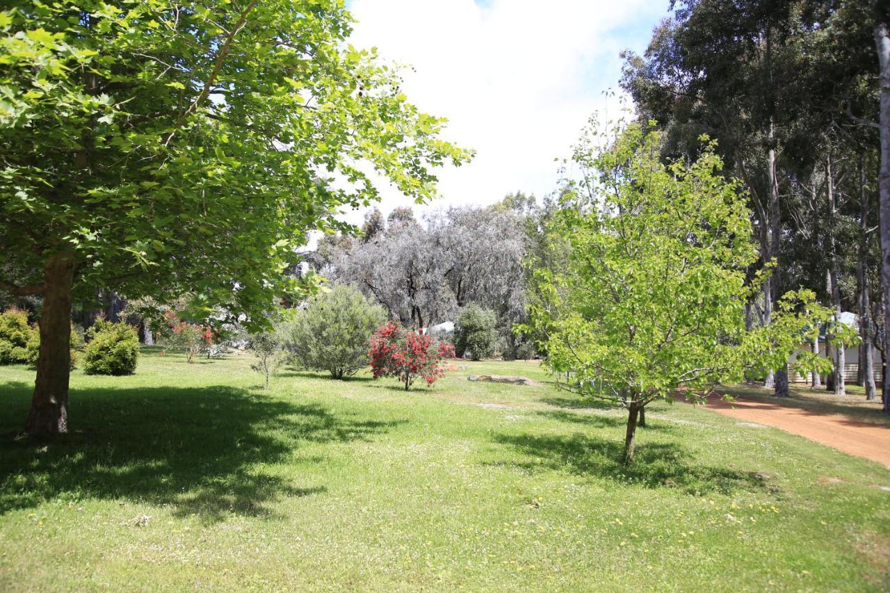 מרגרט ריבר Bushy Lake Chalets מראה חיצוני תמונה